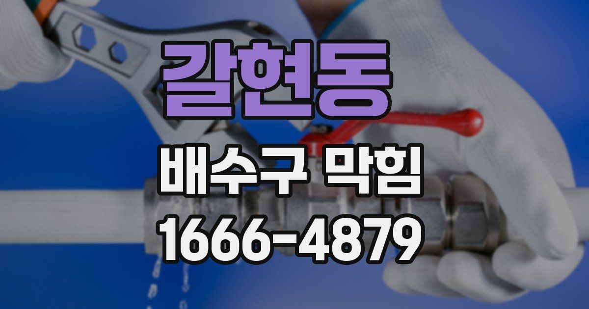 갈현동 배수구 막힘