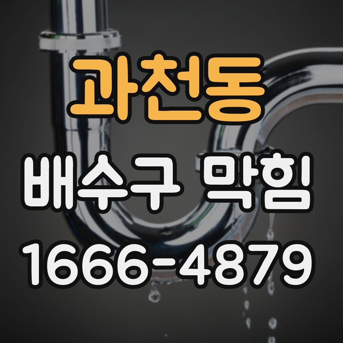 과천동 배수구 막힘