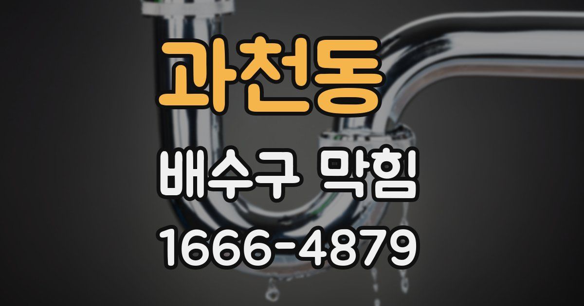 과천동 배수구 막힘