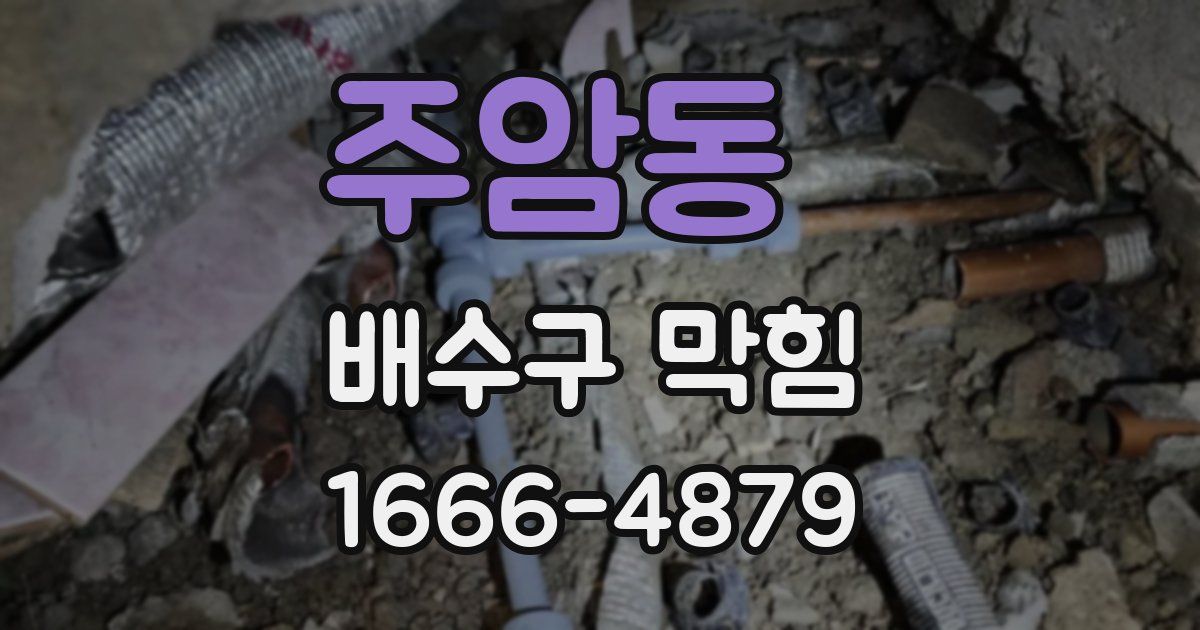 주암동 배수구 막힘