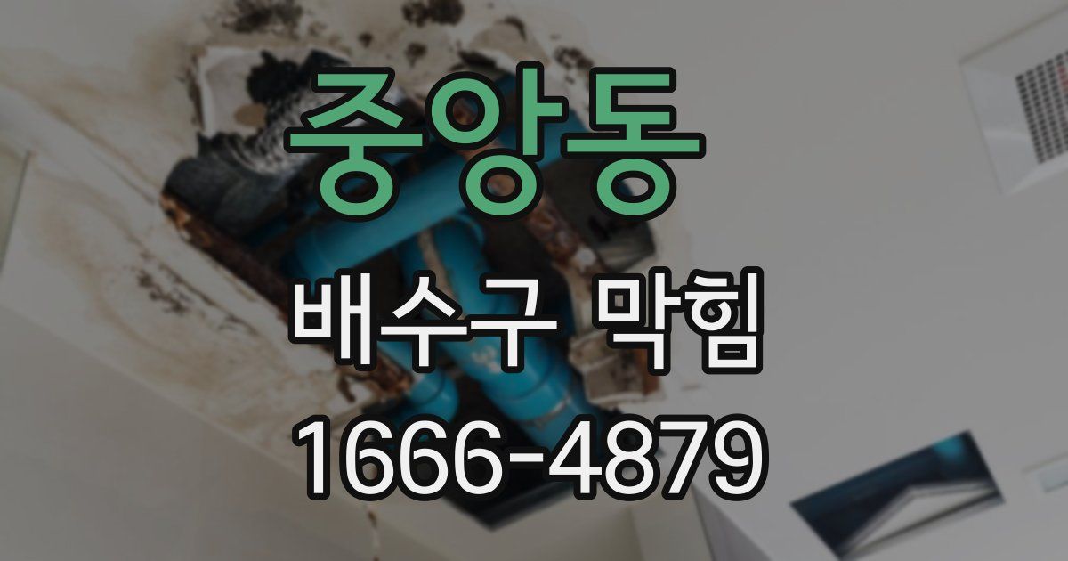 중앙동 배수구 막힘