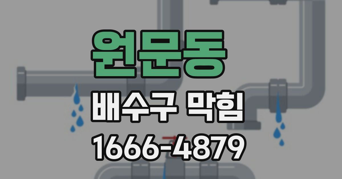 원문동 배수구 막힘
