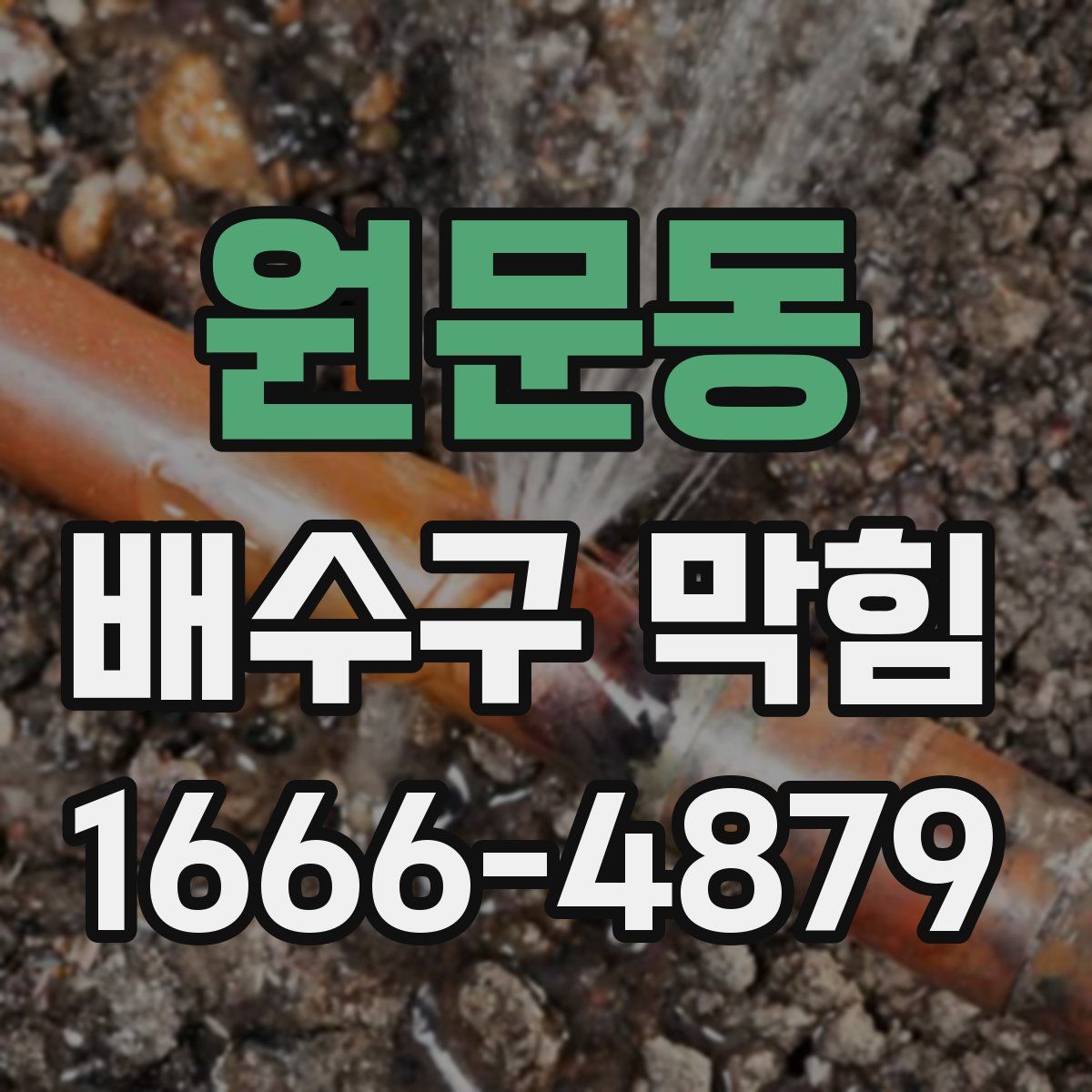 원문동 배수구 막힘