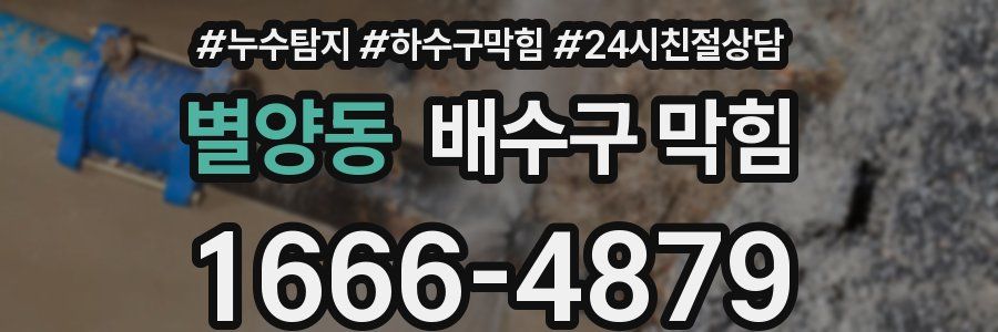 별양동 배수구 막힘