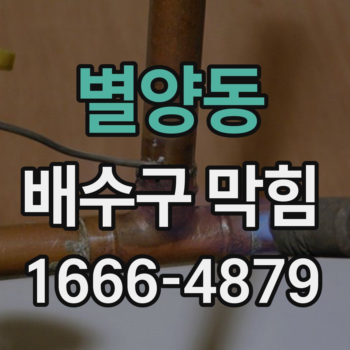 별양동 배수구 막힘
