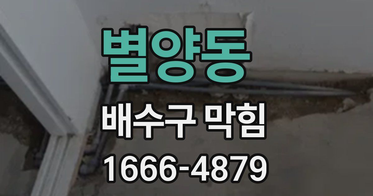 별양동 배수구 막힘