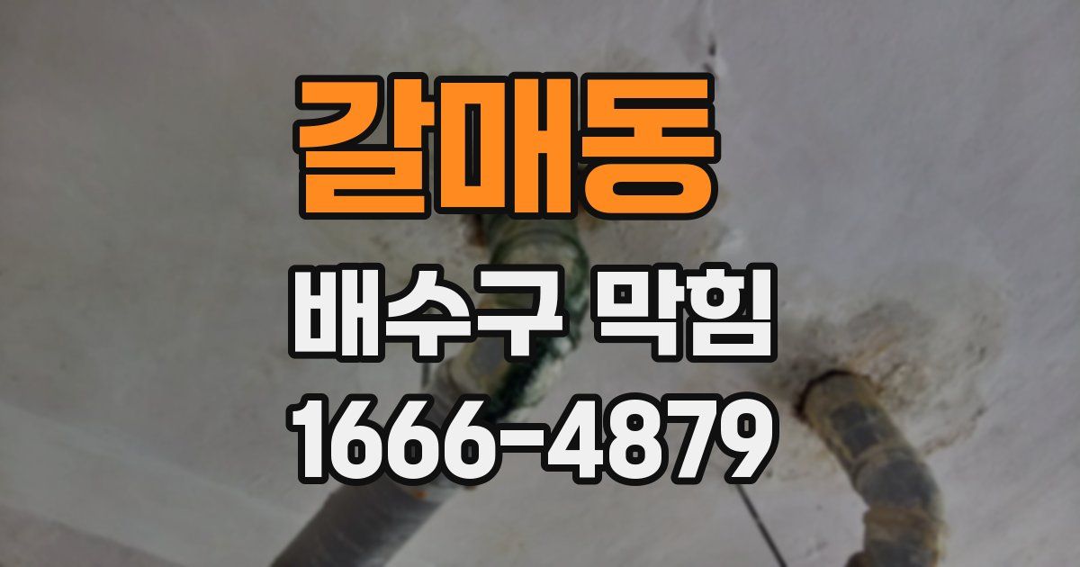 갈매동 배수구 막힘