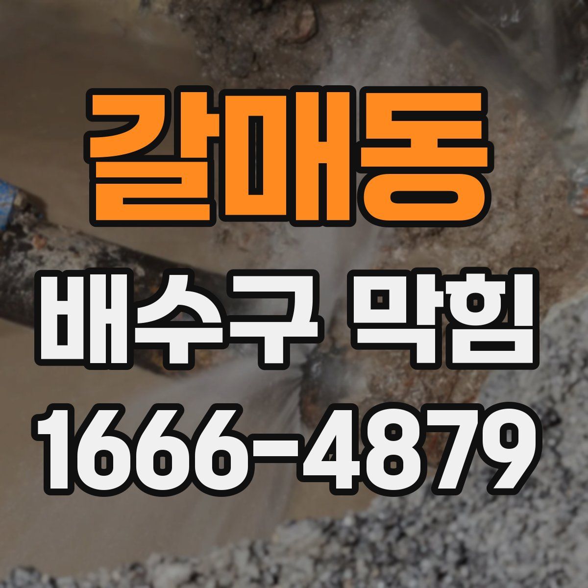 갈매동 배수구 막힘