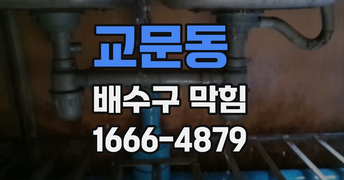 교문동 배수구 막힘