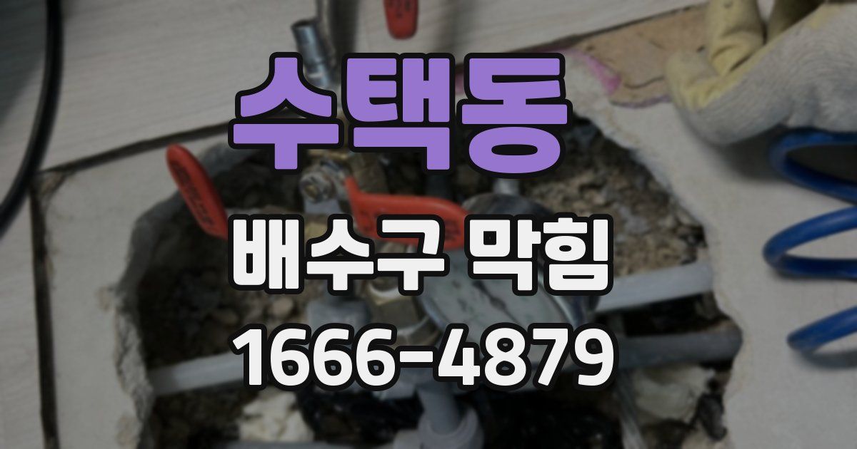 수택동 배수구 막힘