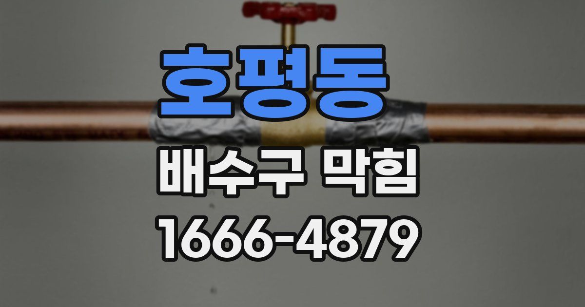 호평동 배수구 막힘