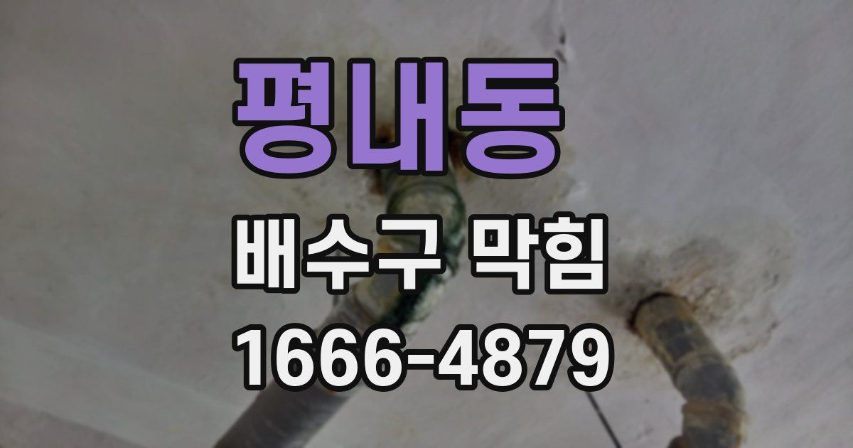 평내동 배수구 막힘
