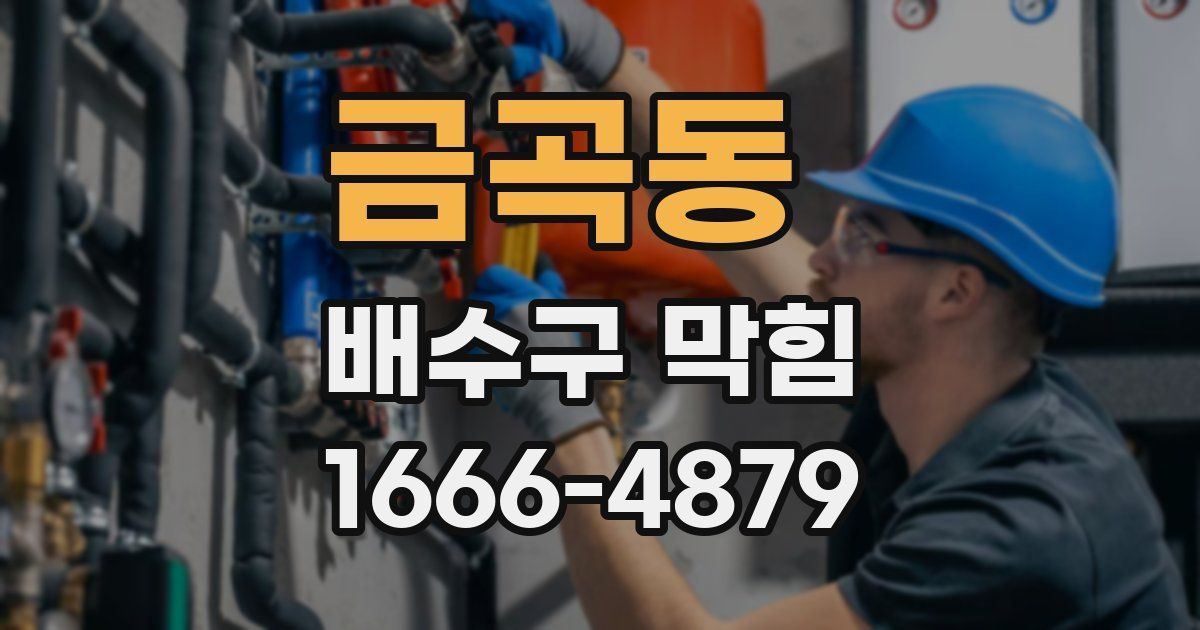 금곡동 배수구 막힘
