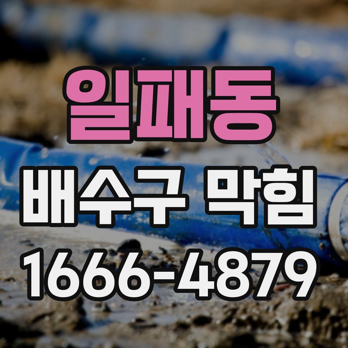일패동 배수구 막힘