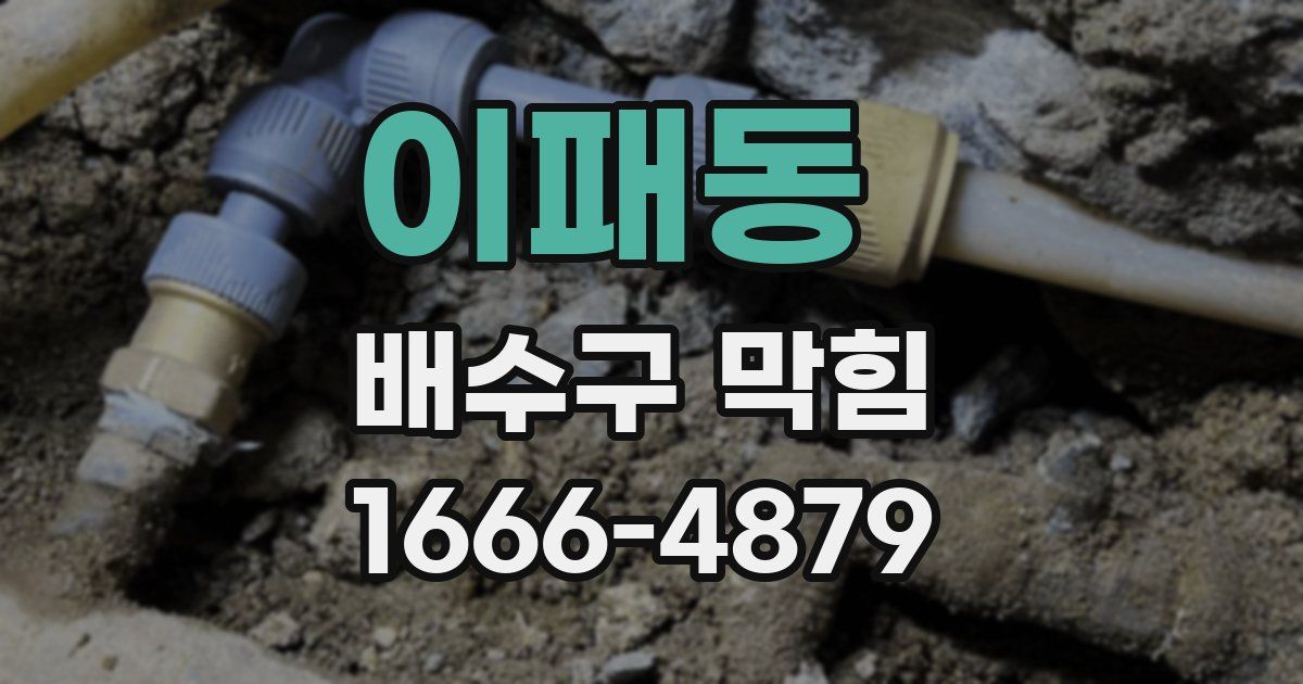 이패동 배수구 막힘
