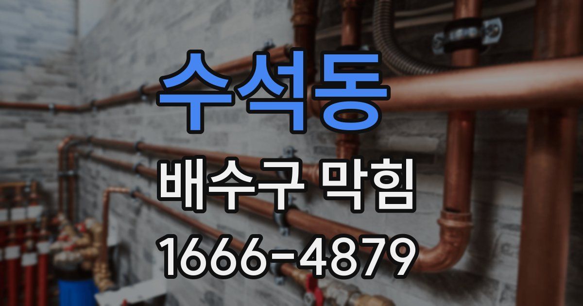 수석동 배수구 막힘