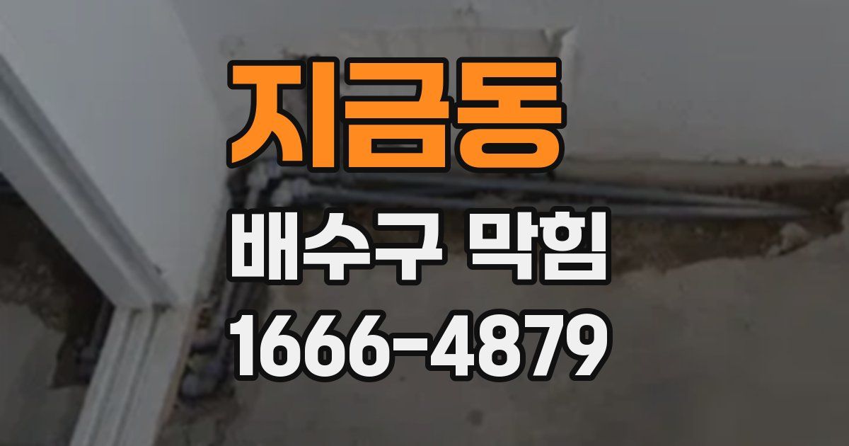 지금동 배수구 막힘