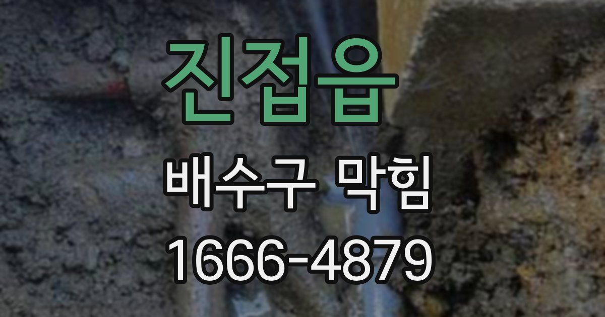 진접읍 배수구 막힘
