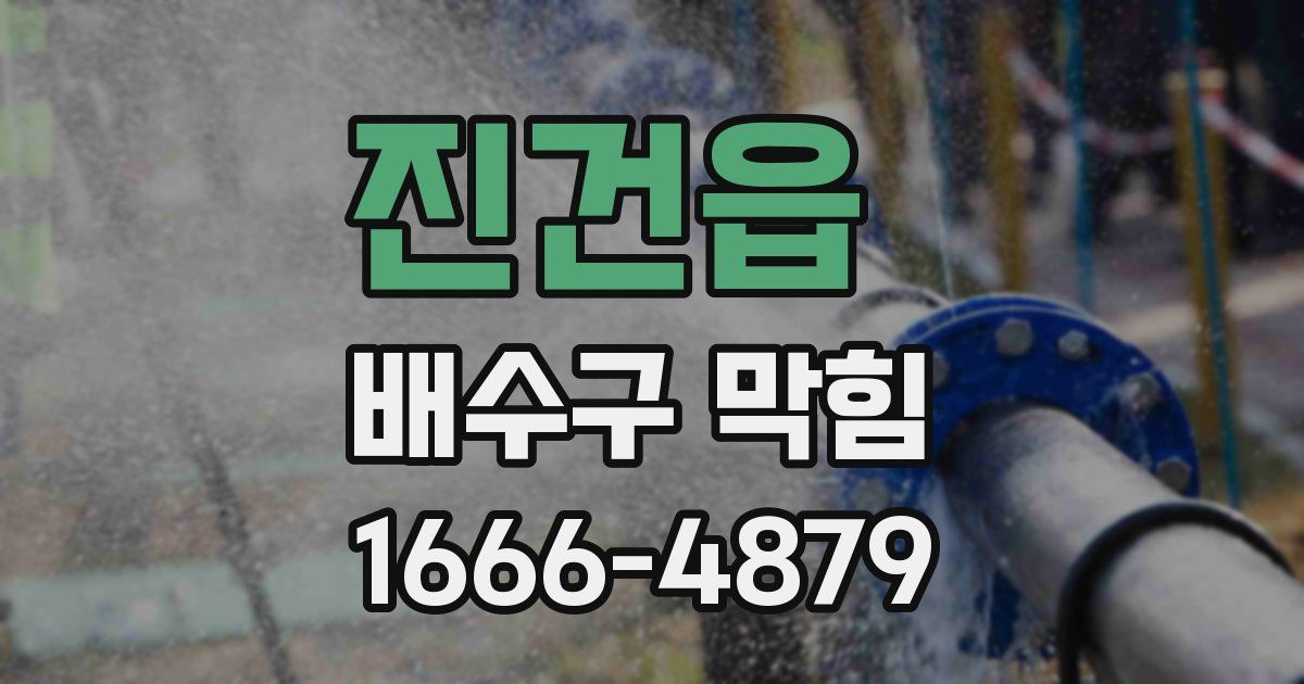 진건읍 배수구 막힘