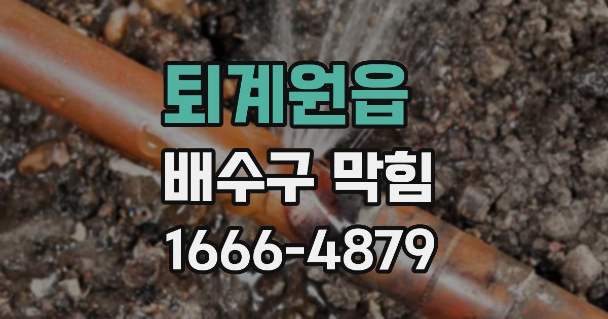 퇴계원읍 배수구 막힘