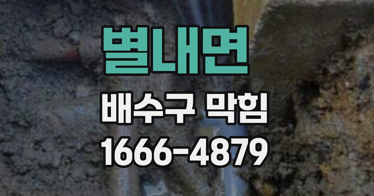 별내면 배수구 막힘