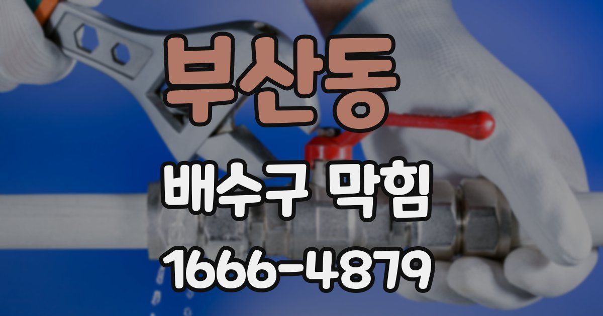 부산동 배수구 막힘