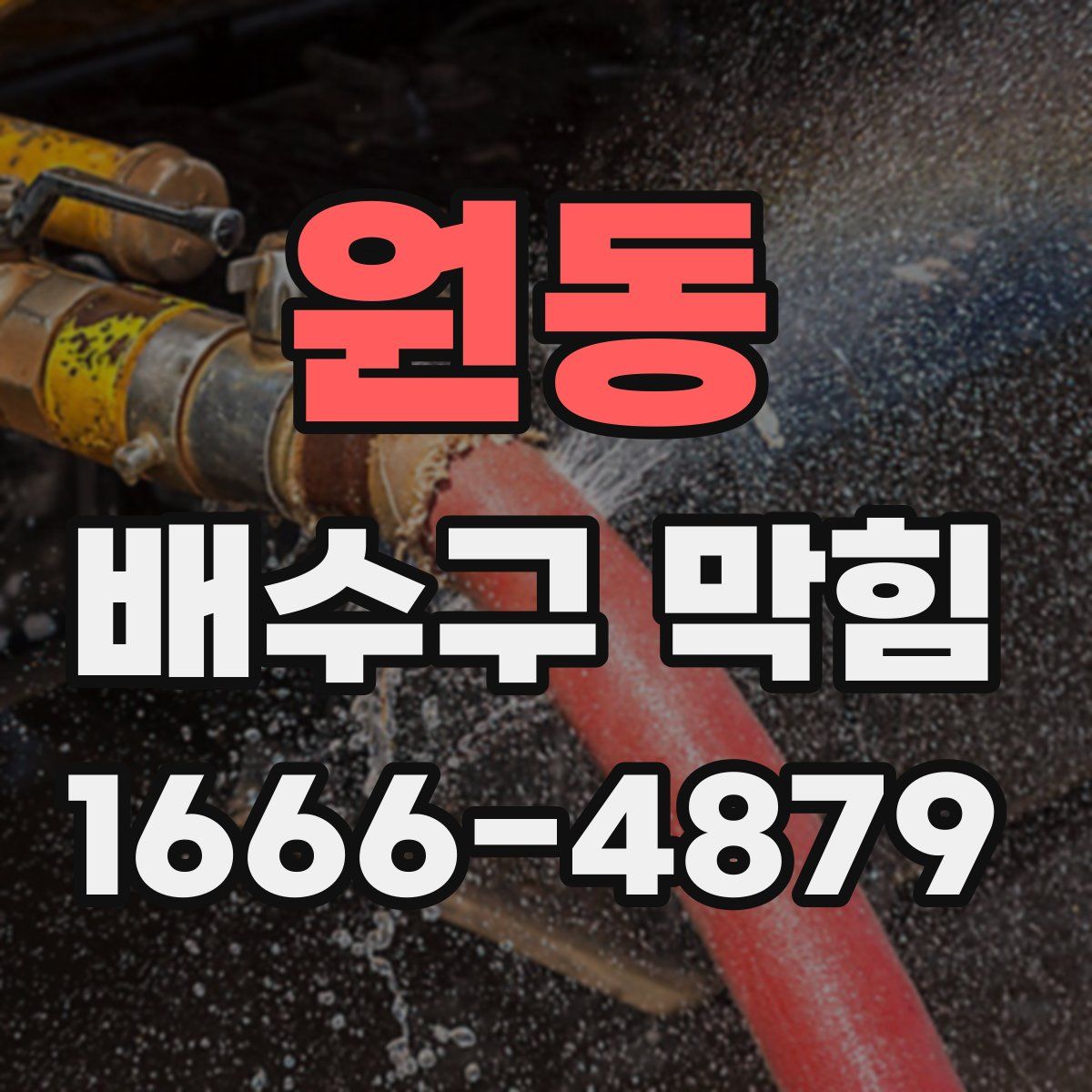 원동 배수구 막힘