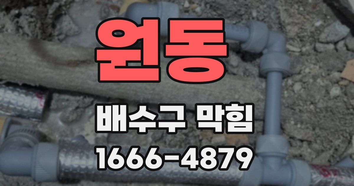 원동 배수구 막힘
