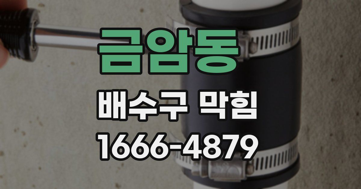 금암동 배수구 막힘