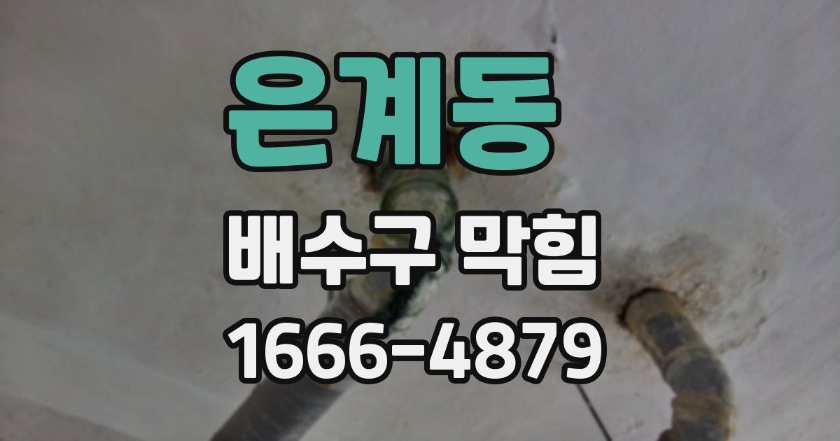 은계동 배수구 막힘