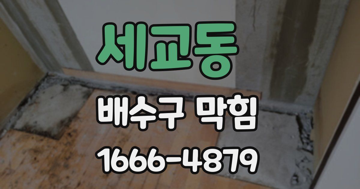세교동 배수구 막힘
