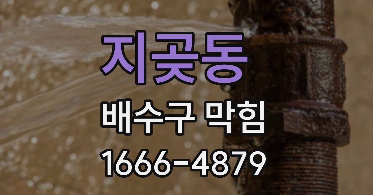 지곶동 배수구 막힘