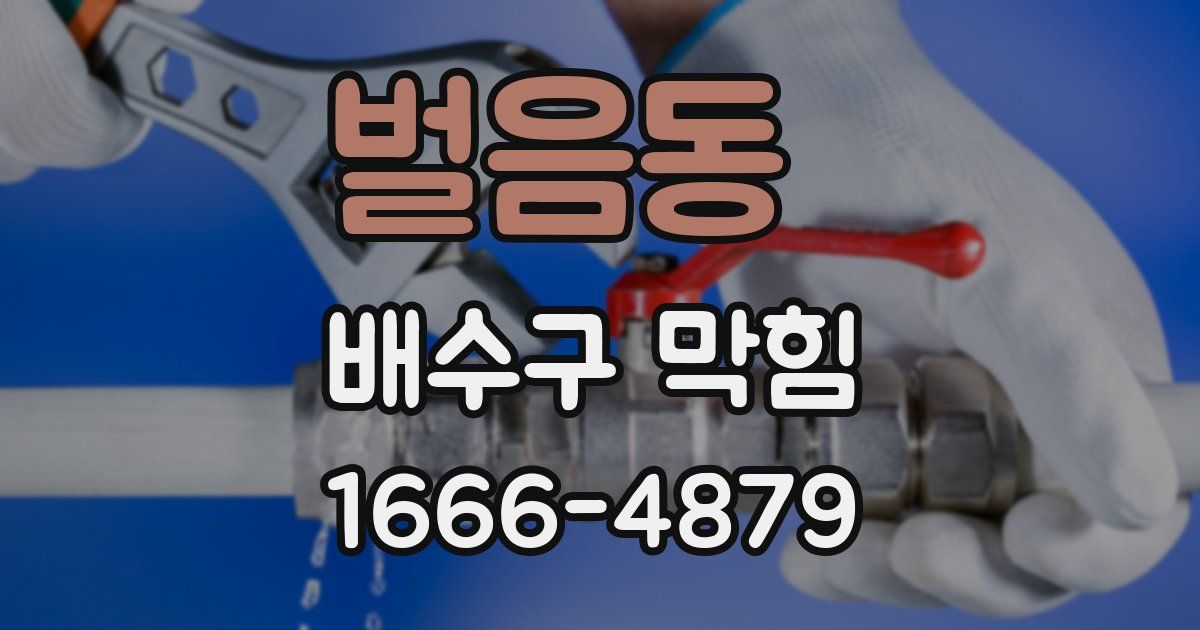 벌음동 배수구 막힘