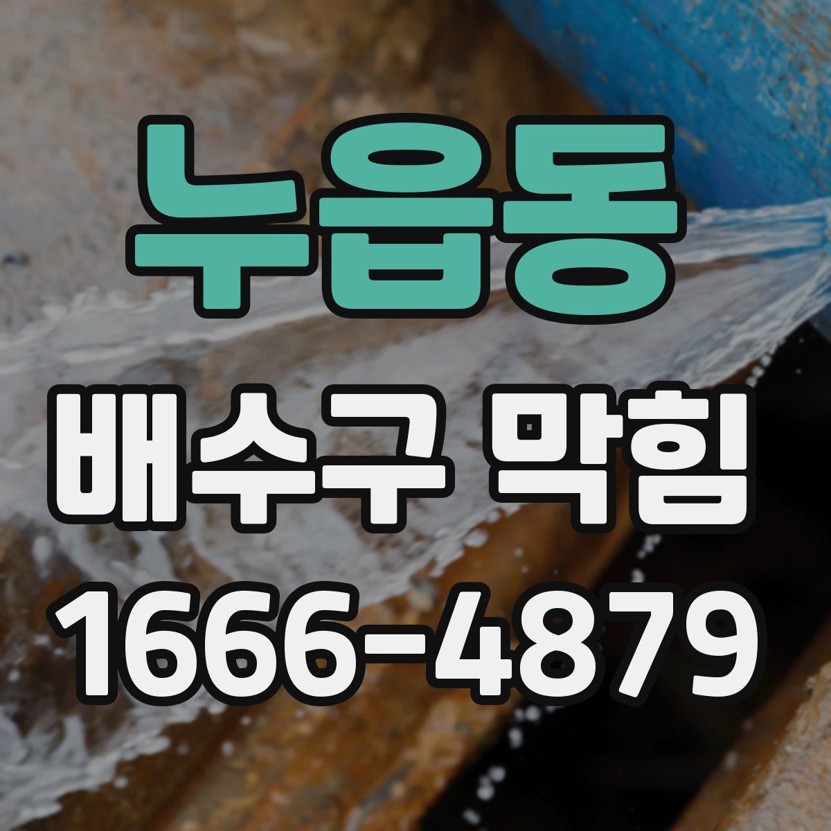 누읍동 배수구 막힘
