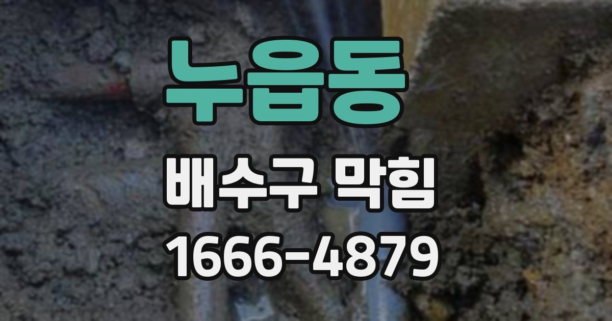 누읍동 배수구 막힘