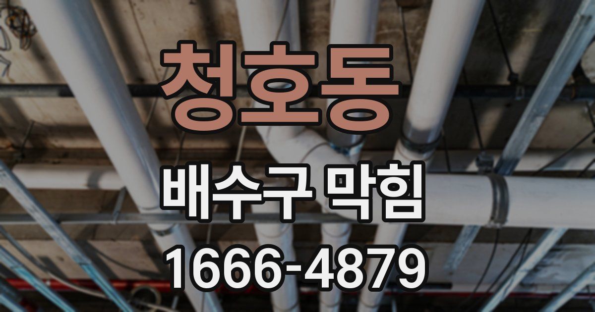 청호동 배수구 막힘