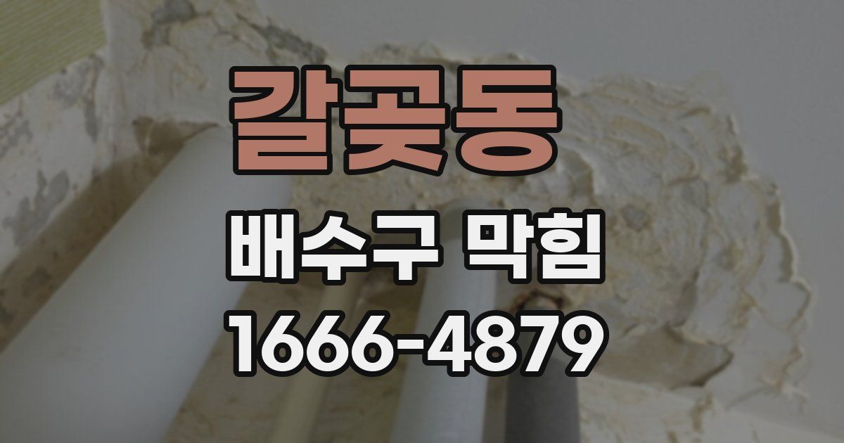 갈곶동 배수구 막힘