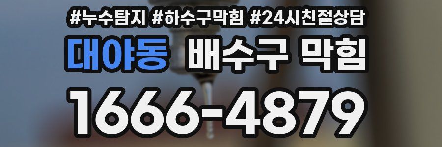 대야동 배수구 막힘