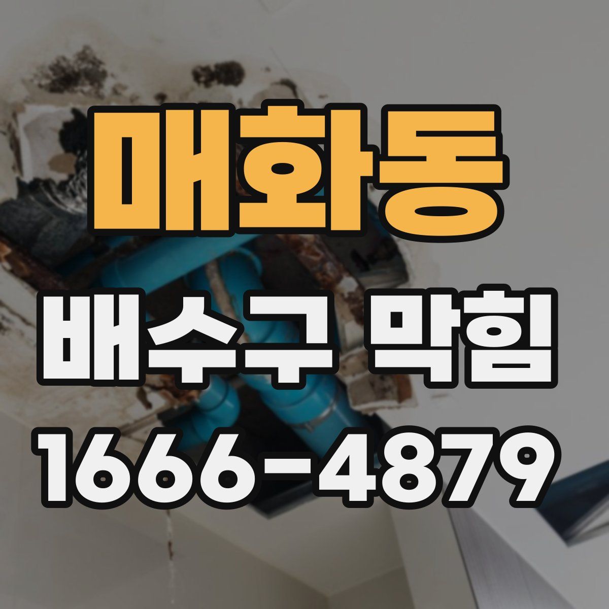 매화동 배수구 막힘