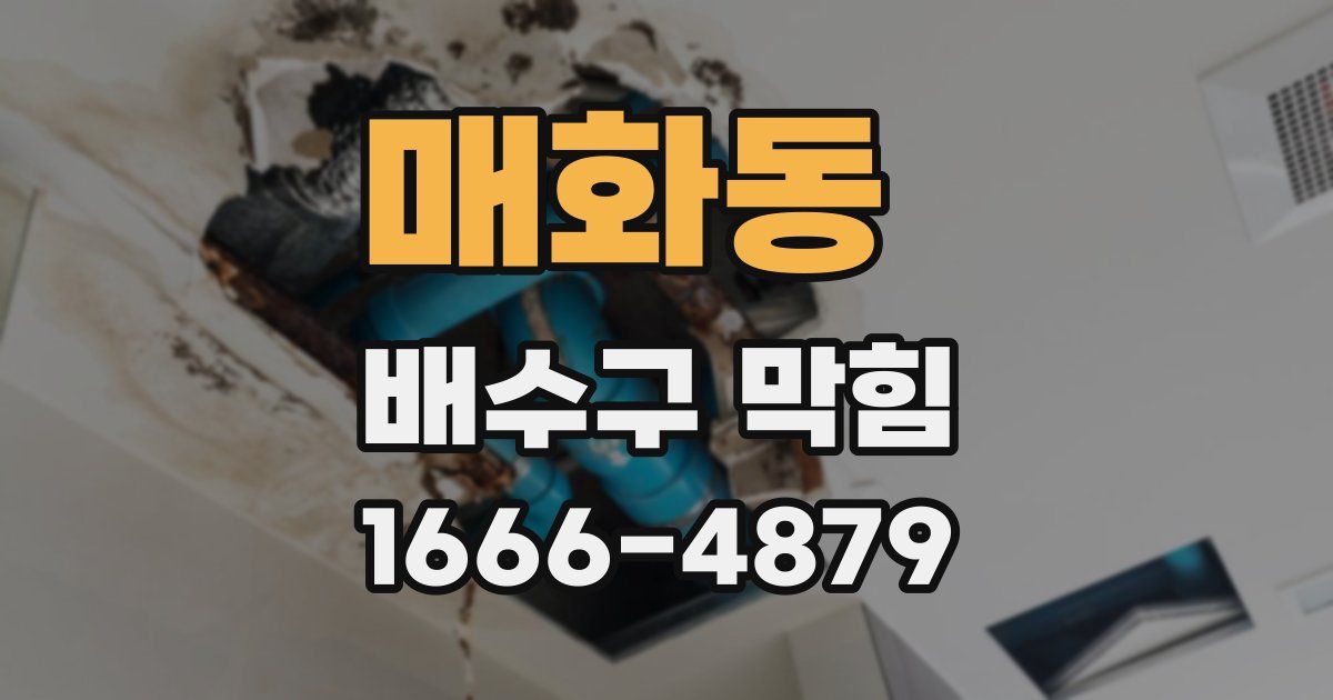매화동 배수구 막힘