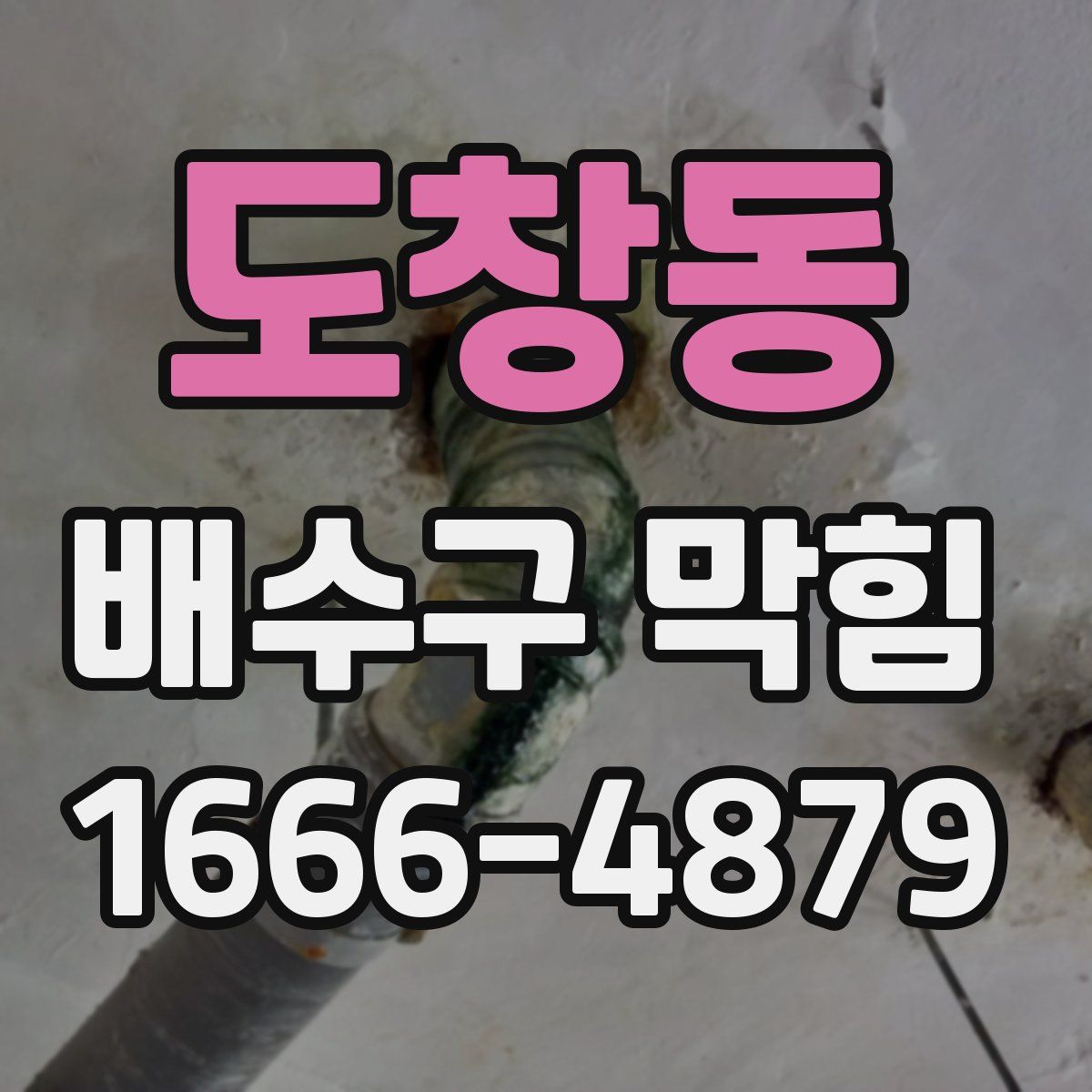 도창동 배수구 막힘