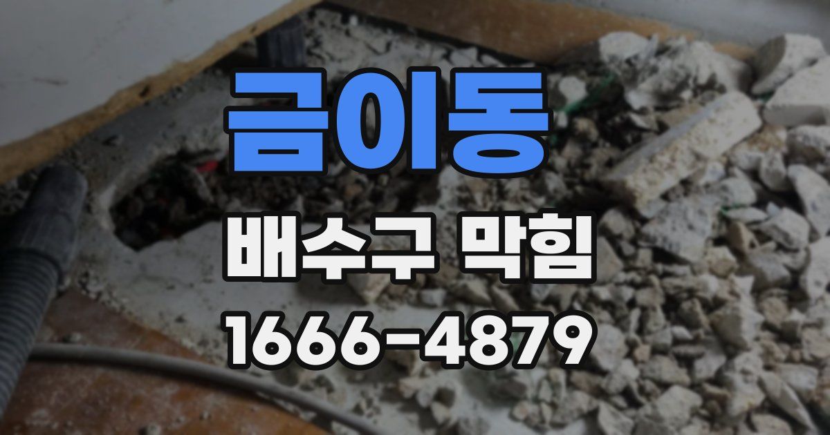 금이동 배수구 막힘
