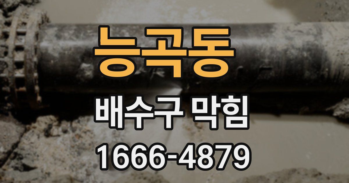 능곡동 배수구 막힘