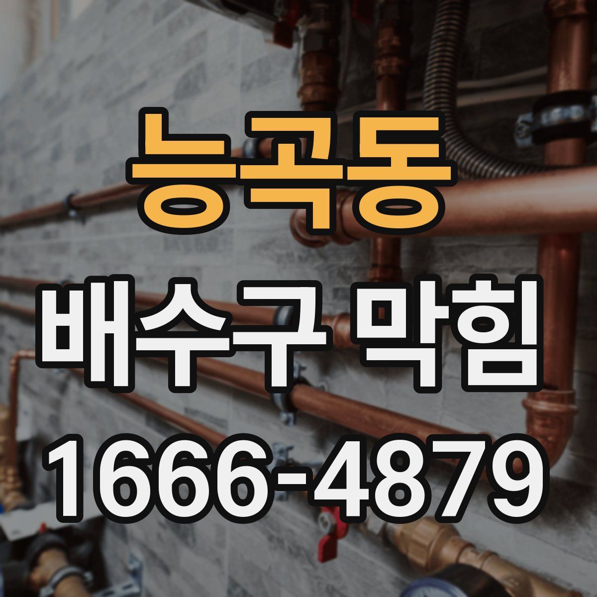 능곡동 배수구 막힘