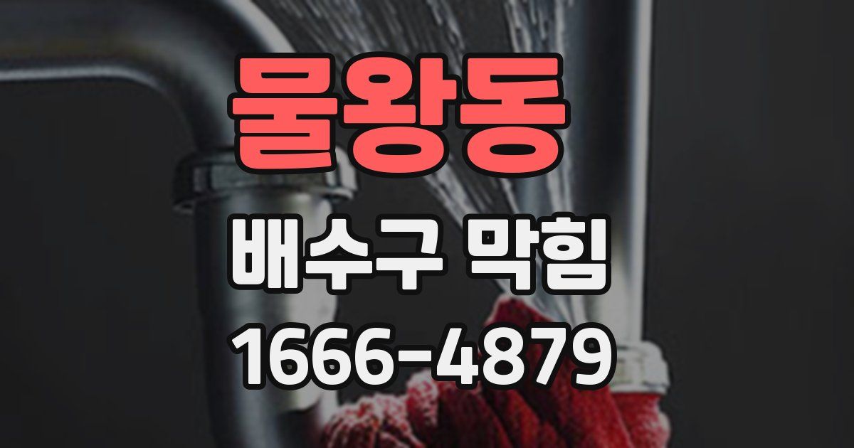 물왕동 배수구 막힘