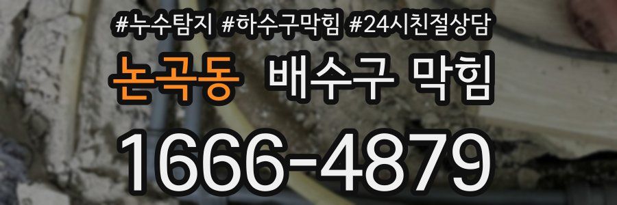 논곡동 배수구 막힘
