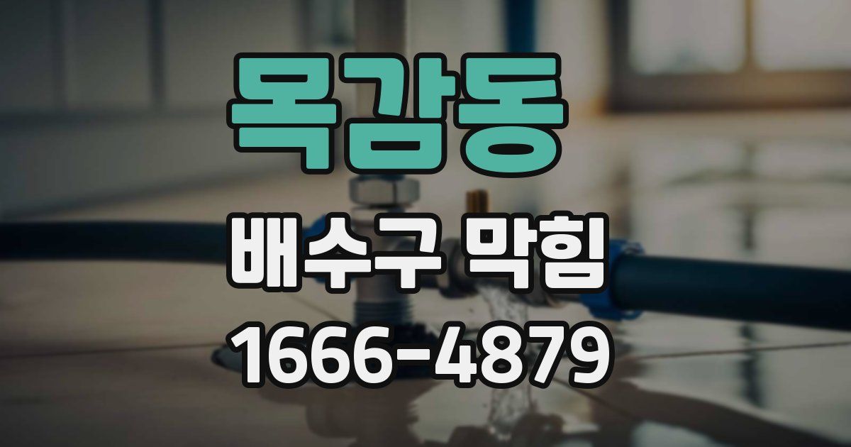 목감동 배수구 막힘