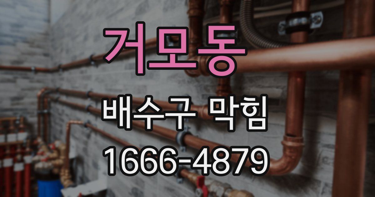 거모동 배수구 막힘