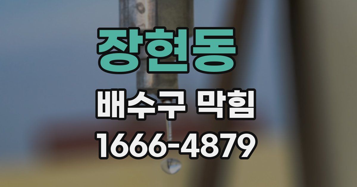 장현동 배수구 막힘