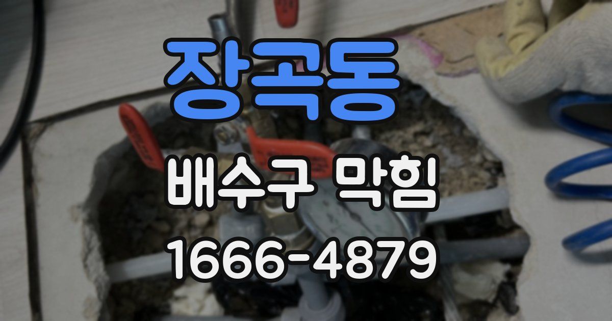 장곡동 배수구 막힘